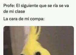 Enlace a Imposible no ser expulsado