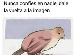 Enlace a Te lo avisé