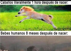 Enlace a Nos cuesta espabilar