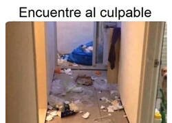 Enlace a Puedes ver al culpable