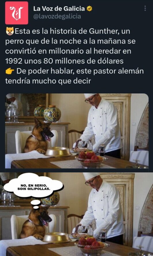 Meme_otros - Lo que diría este perro si pudiera hablar