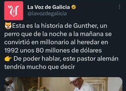 Enlace a Lo que diría este perro si pudiera hablar