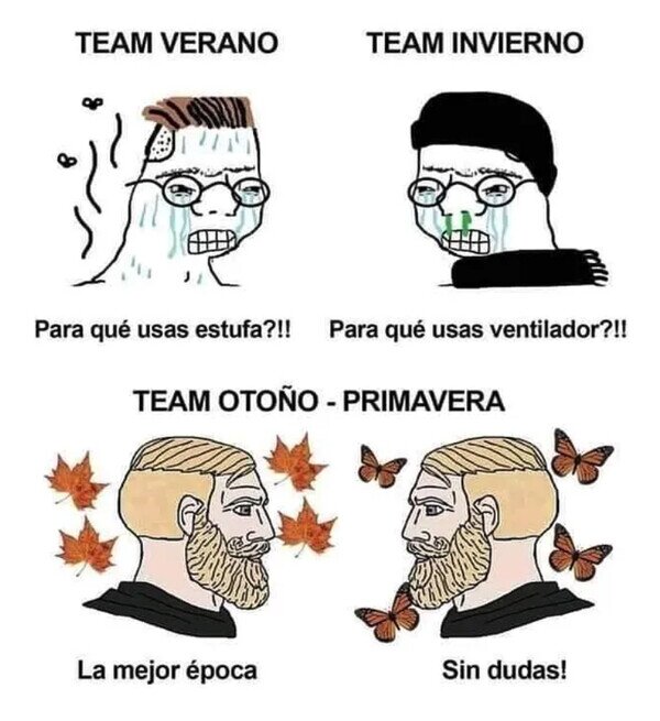 Meme_otros - El mejor equipo (aunque dure poco)