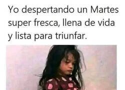 Enlace a Todavía es solo martes