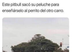 Enlace a El post adorable del día