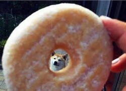 Enlace a Recuerda el consejo del perrete del agujero