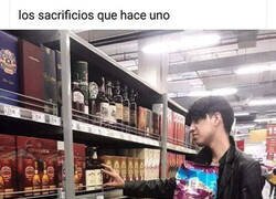 Enlace a Todo sea por el Michi