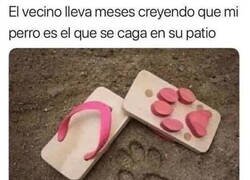 Enlace a Nunca sabrá la asquerosa verdad