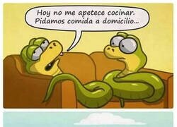 Enlace a ¡No, conejo, nooo!