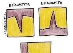 Enlace a Aprende a diferenciarlas