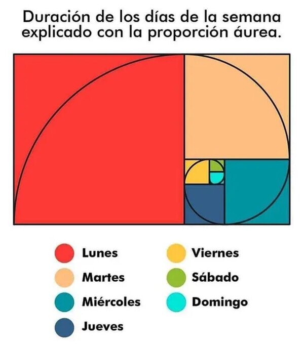proporción,áurea,duración,días,semana