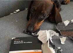 Enlace a No funcionó