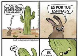 Enlace a Cactus arisco