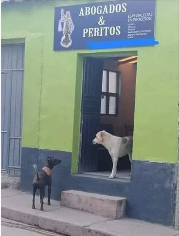 Meme_otros - No veo a los abogados