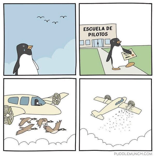 Meme_otros - El pingüino que quiso volar