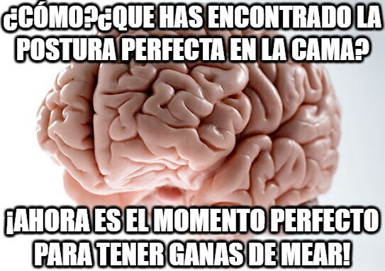 mear,cama,cerebro