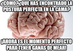 Enlace a ¿Cómo?¿Que has encontrado la postura perfecta en la cama?