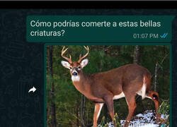 Enlace a No entiendo la pregunta