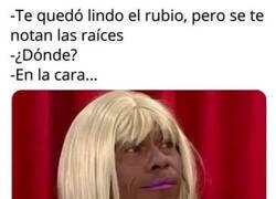 Enlace a Las raíces caucásicas