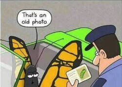 Enlace a Una foto vieja