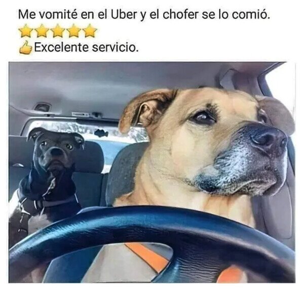 Meme_otros - Uber Dogs