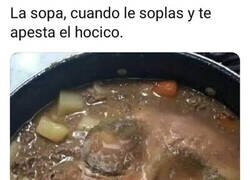 Enlace a La sopa también puede sentir asco