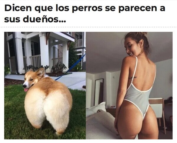Meme_otros - Pues será verdad