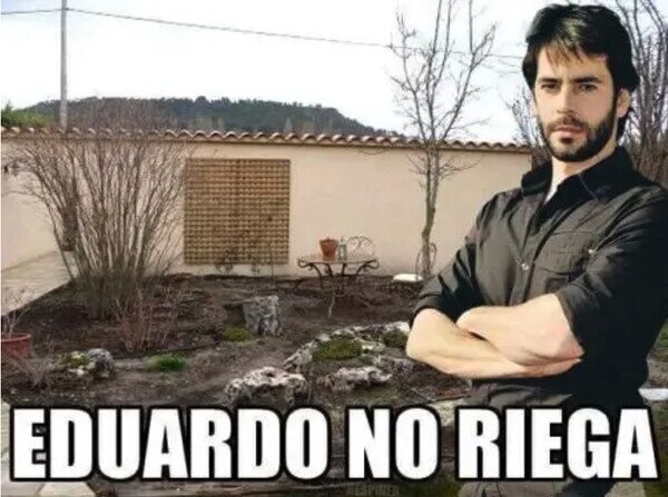 Meme_otros - La tontería del día