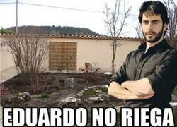 Enlace a La tontería del día