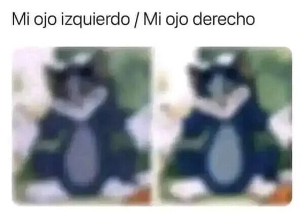 Otros - No veo ni torta