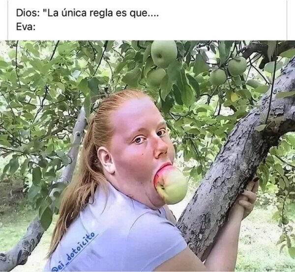 Meme_otros - No tardó en saltársela