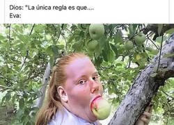 Enlace a No tardó en saltársela