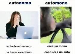 Enlace a Yo también lo prefiero