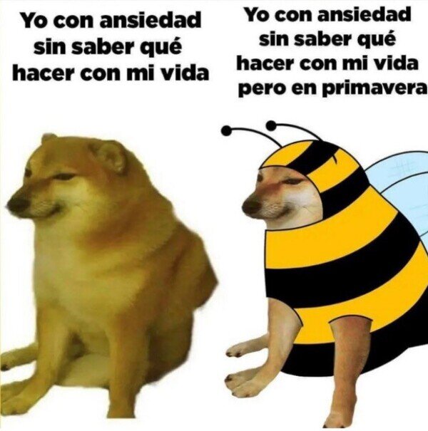 Meme_forever_alone - Deprimido pero ya en abril