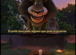 Enlace a Yo no, por favor