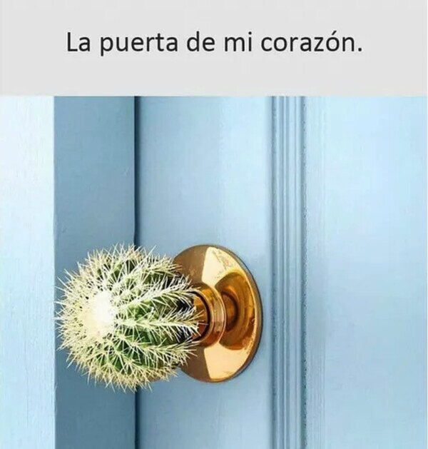 Meme_otros - Me cuesta abrirme