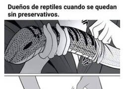 Enlace a Ahora no podrás quitártelo de la cabeza