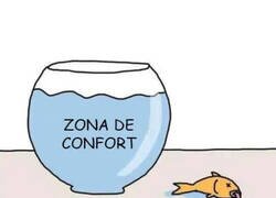 Enlace a A veces no es bueno salir de ahí