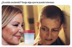 Enlace a Ana, por favor...