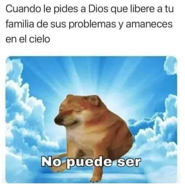 Meme_otros - ¿El problema era yo?