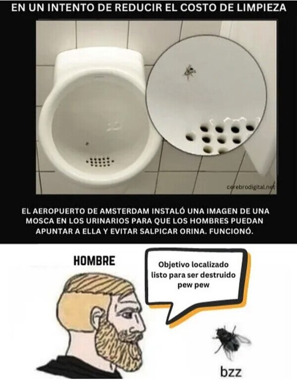 Meme_otros - Cuando conoces la mente masculina