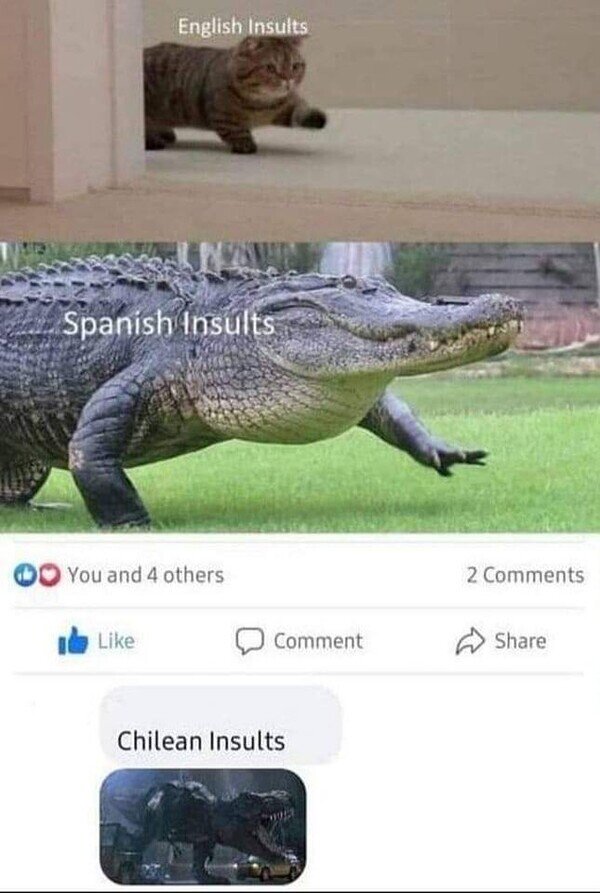 Meme_otros - Los insultos son más insultos dependiendo del idioma