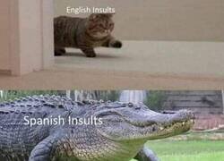 Enlace a Los insultos son más insultos dependiendo del idioma