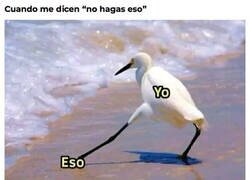 Enlace a Me dan más ganas de hacerlo