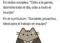 Enlace a Lo que hay que decir para conseguir trabajo