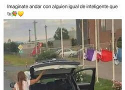 Enlace a Amor en la ignorancia