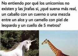 Enlace a Una jirafa es mucho más disparatada