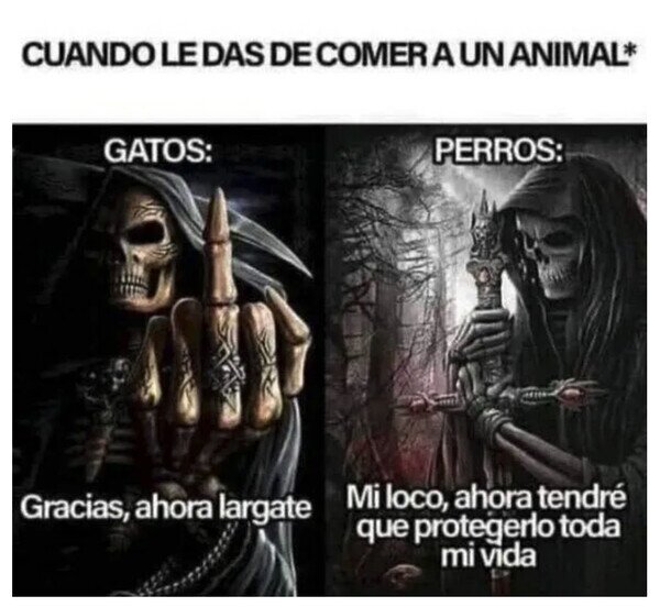 Otros - Los perros son más agradecidos