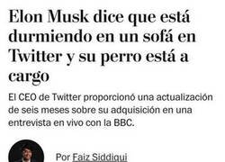 Enlace a Un perro a cargo de Twitter