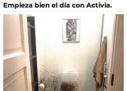 Enlace a Estuvo potente